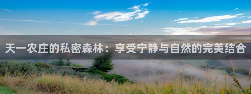 必一体育app官方正版下载