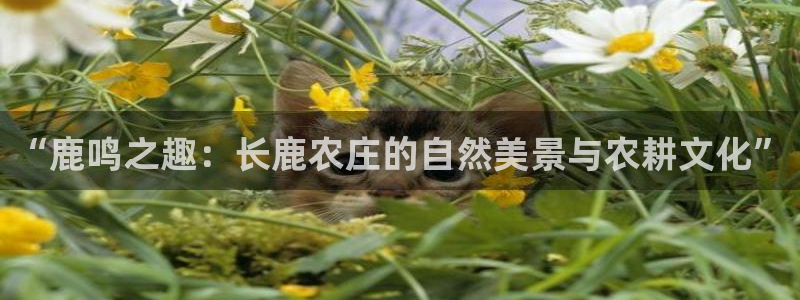 必一体育可靠吗