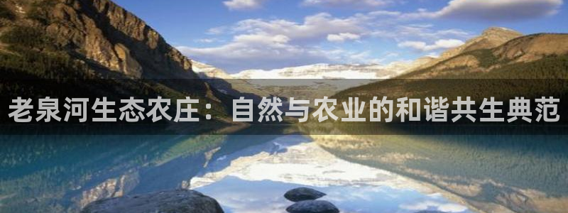 必一体育全站在线登录入口