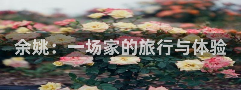 必一体育app下载最新版本