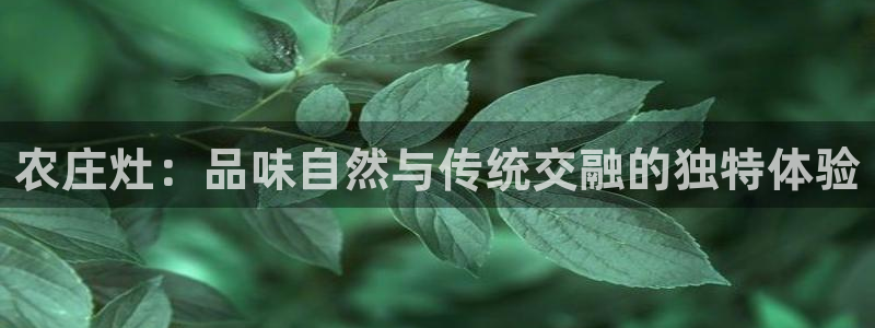 必一体育APP