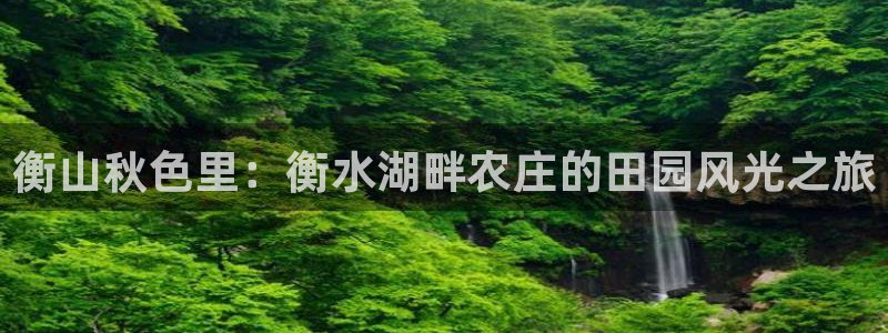 必一体育下载意思