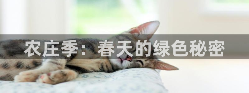 必一体育app下载最新版本苹果