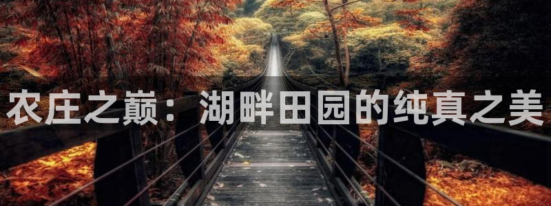 必一体育验证码