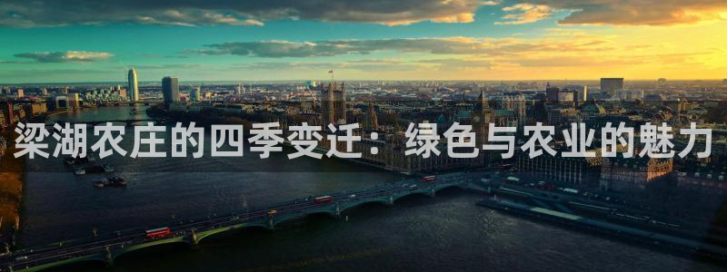 必一体育怎么下载