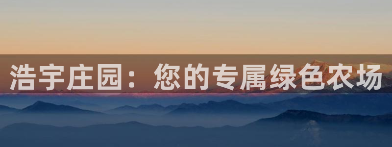 必一体育登录入口APP