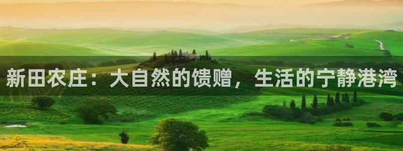 必一体育sport装机吧