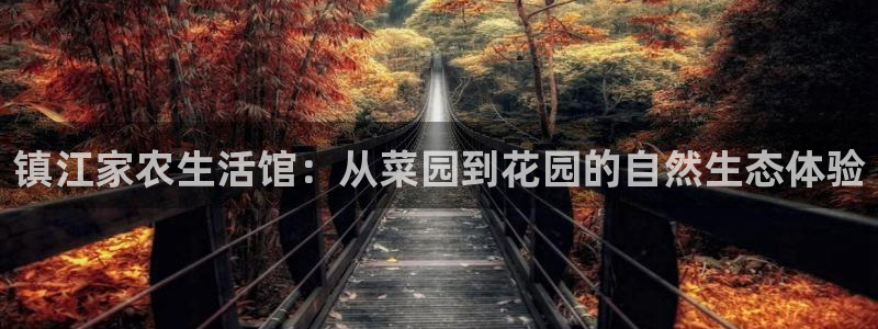 必一体育在线官网