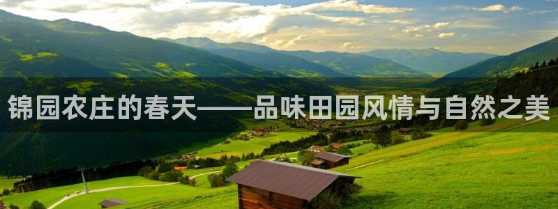 必一体育黑平台