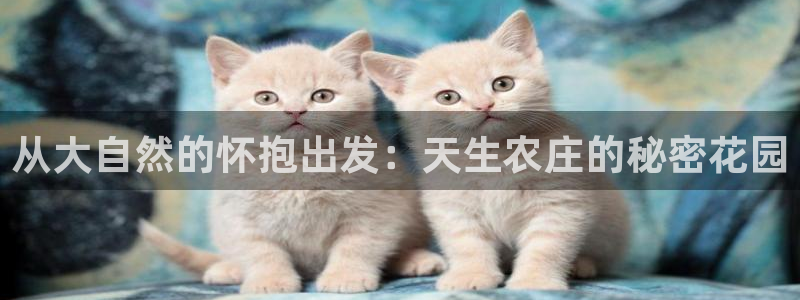 必一体育皮尔斯