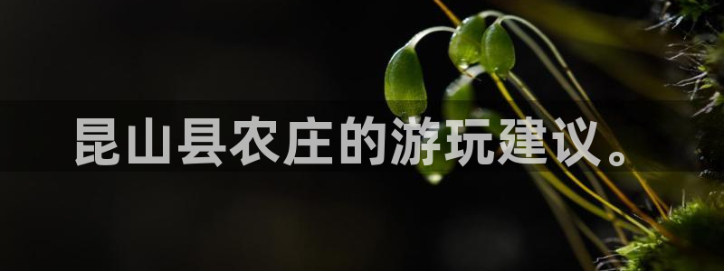 必一运动验证码