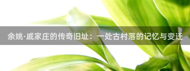 必一体育服下载最新版本更新内容