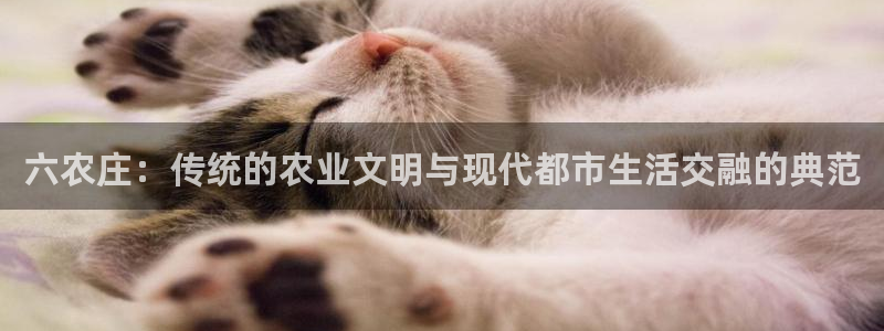 必一运动官网平台