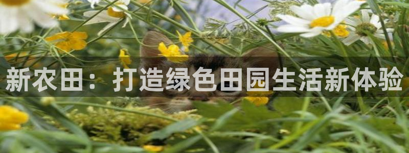 必一运动体育app