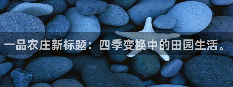 必一体育bsport下载