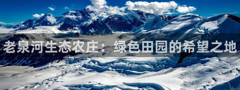 必一体育app官方网站