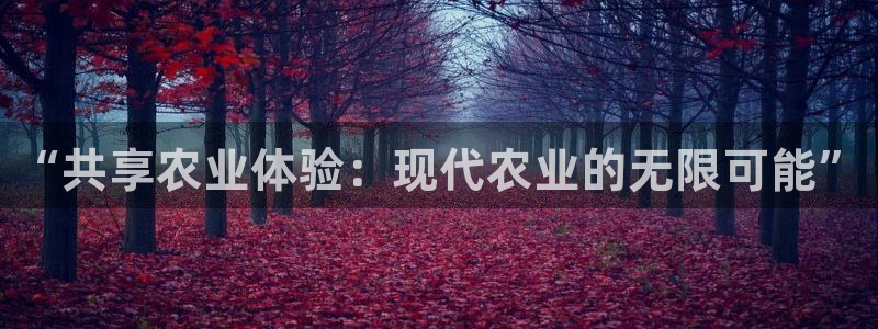 必一体育网页登陆