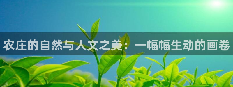 必一体育官网入口