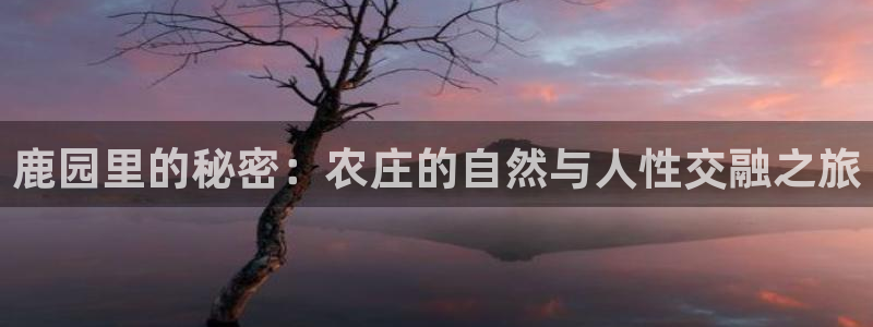 必一体育怎么下载