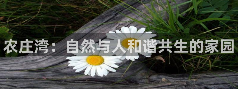 必一体育运动官网