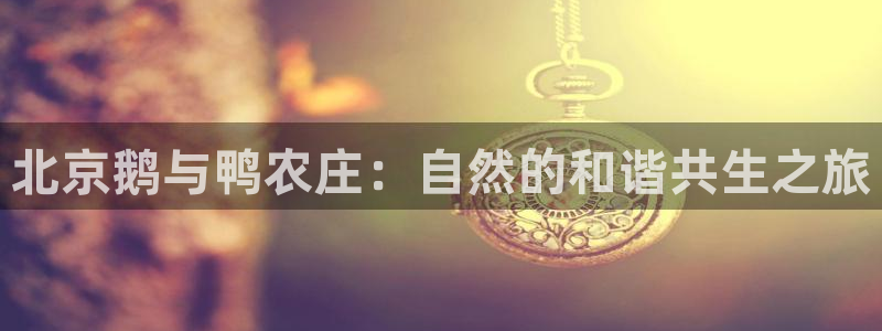 必一体育官方app下载