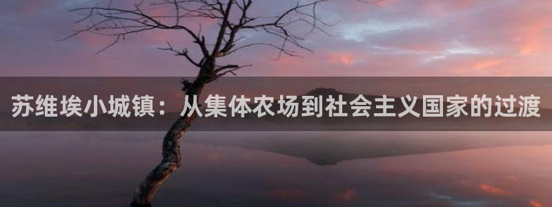 必一体育网站