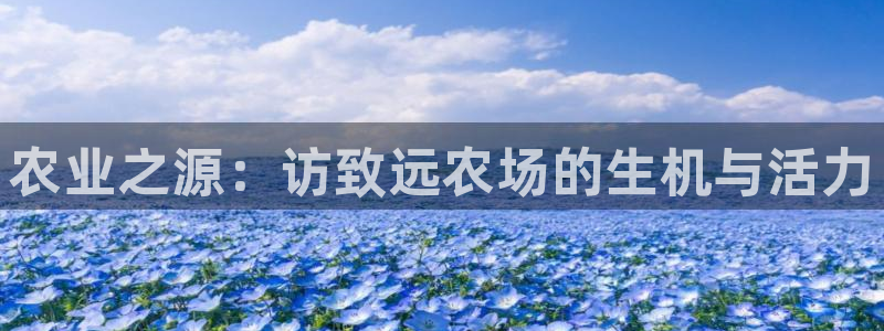 必一运动官网装机吧