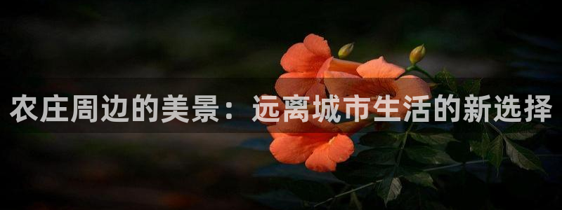 必一体育运动平台官网