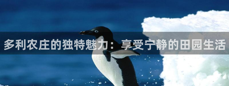 必一体育app下载装机吧