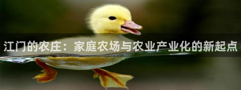 必一运动·体育