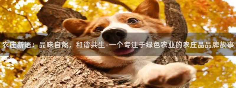 必一运动·体育