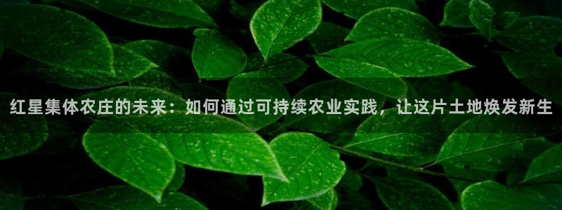 必一体育运动app下载