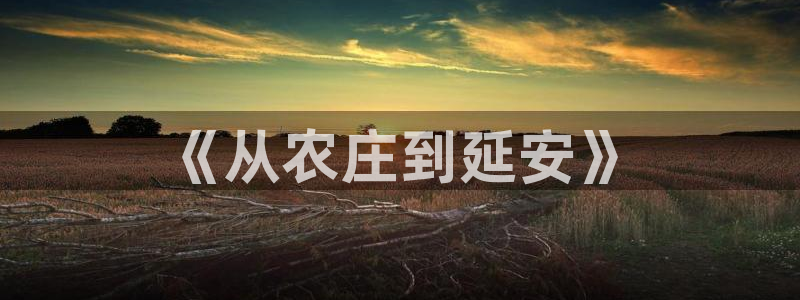 必一体育运动app