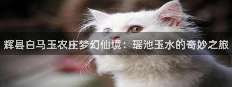 必一运动bsport体育app下载