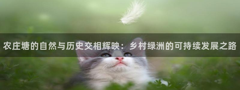 必一运动体育官网
