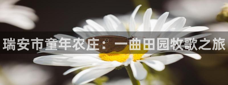 Bsport体育必一
