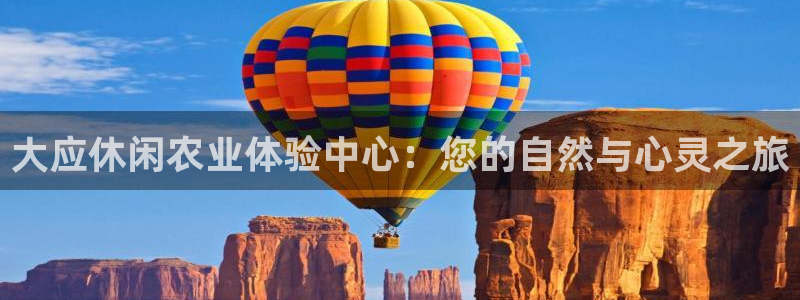 必一运动 b 体育素描版
