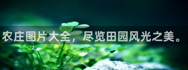 必一体育在线官网