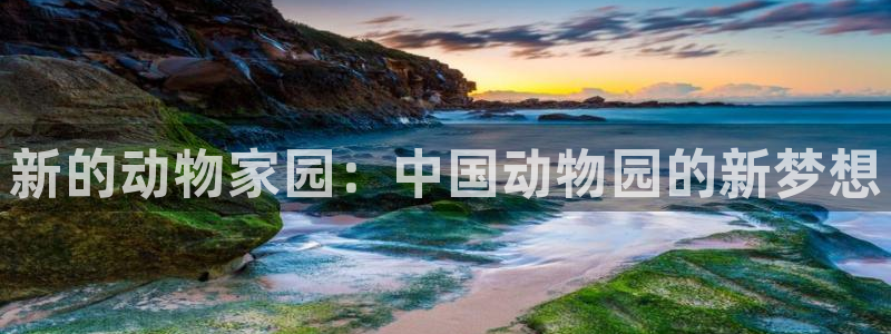 必一体育下载app