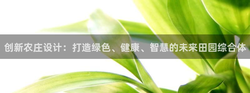 必一体育sport官网