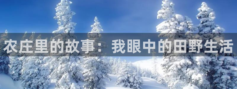 必一体育网页登录版官网