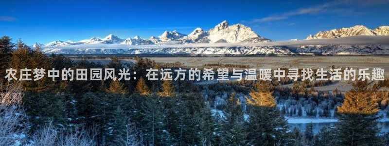 必一运动官网平台