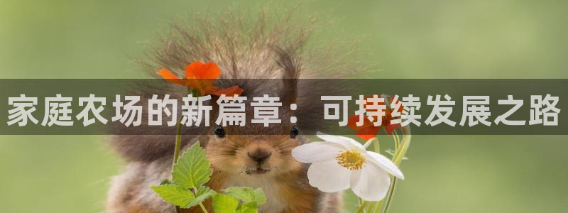 必一运动
