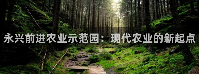必一体育下载移动版
