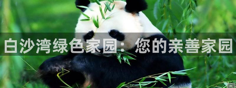 必一体育合法吗