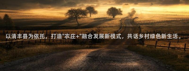 必一体育电子app