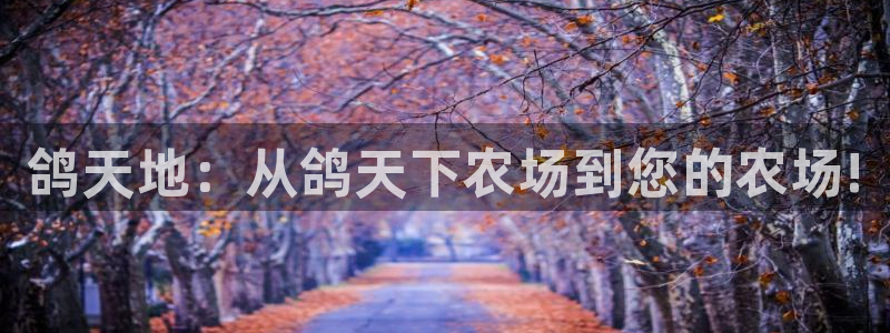 必一运动 b 体育素描版