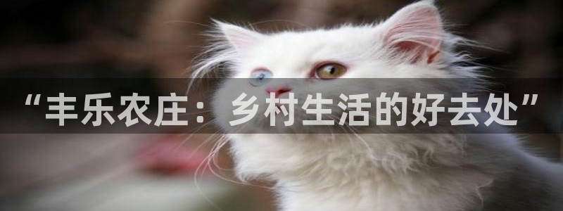 必一体育sport