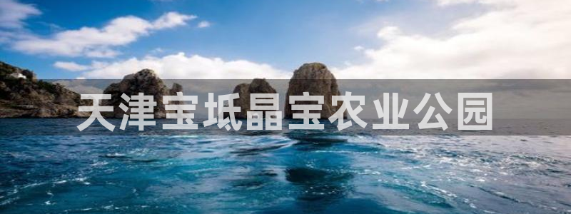 必一体育bsport下载