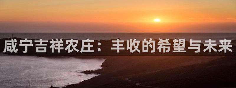 必一体育sport下载